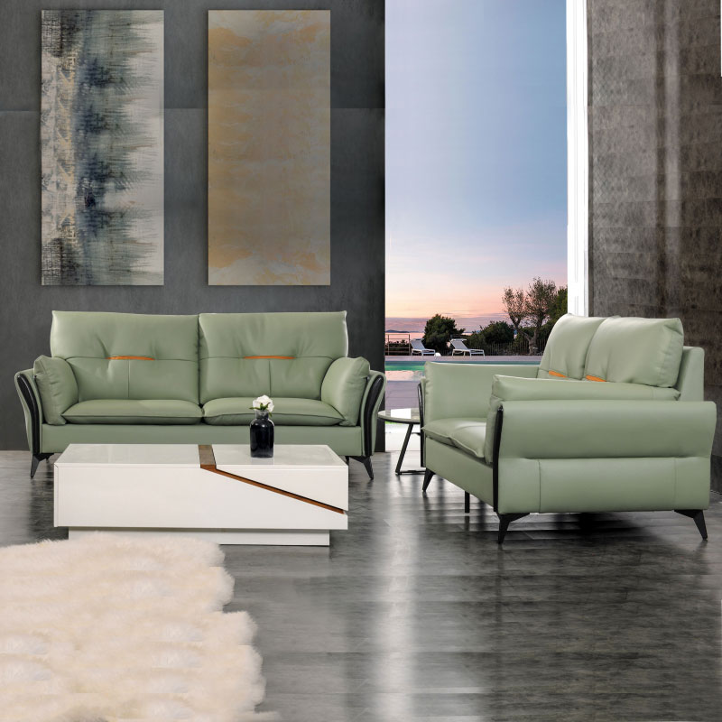 Loveseat Living Room Sofa